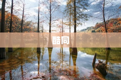 酷同:打破空间限制,实现同一屏幕多任务协同 酷同:打破空间限制,实现同一屏幕多任务协同