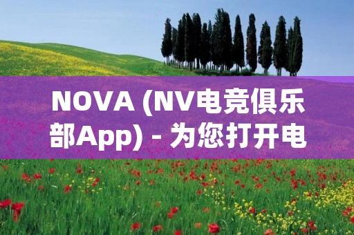 NOVA (NV电竞俱乐部App) - 为您打开电竞世界的大门