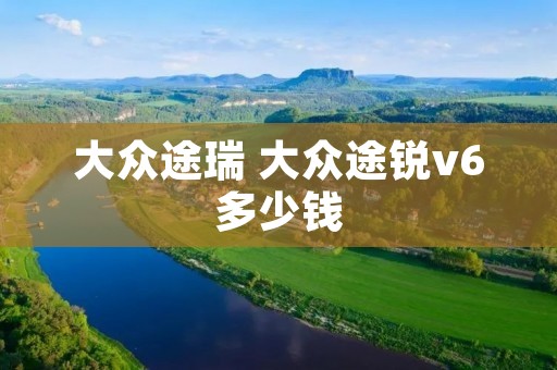 大众途瑞 大众途锐v6多少钱 大众途瑞 大众途锐v6多少钱