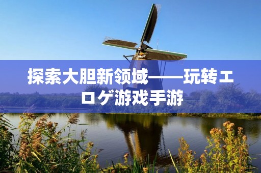 探索大胆新领域——玩转エロゲ游戏手游
