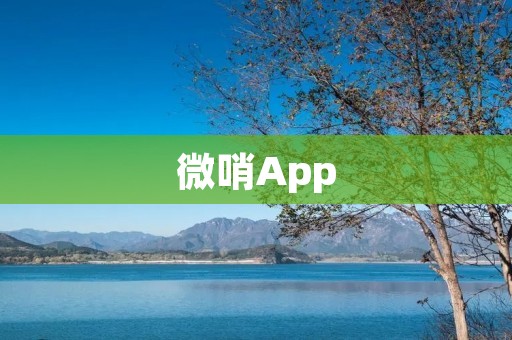 微哨App：提升学校管理效率的智能工具