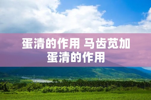 蛋清的作用 马齿苋加蛋清的作用