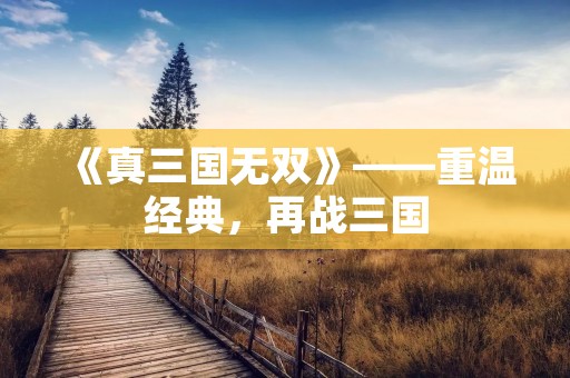 《真三国无双》——重温经典,再战三国