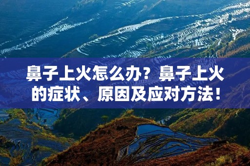 鼻子上火怎么办？鼻子上火的症状、原因及应对方法！