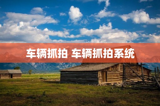车辆抓拍 车辆抓拍系统 车辆抓拍 车辆抓拍系统