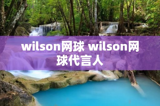 wilson网球 wilson网球代言人