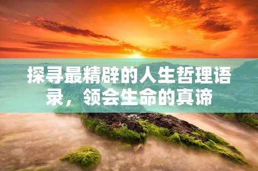 探寻最精辟的人生哲理语录，领会生命的真谛
