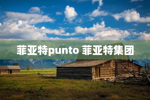 菲亚特punto 菲亚特集团