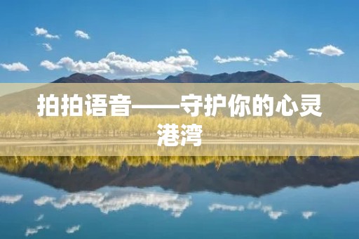 拍拍语音——守护你的心灵港湾