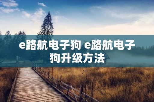 e路航电子狗 e路航电子狗升级方法