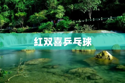 红双喜乒乓球：品质与传承