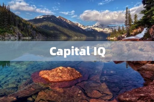 Capital IQ：提供全面的财务数据和分析工具
