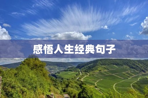 感悟人生经典句子：用文字解读生命的意义
