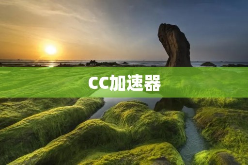 CC加速器：让你的网络畅游无阻