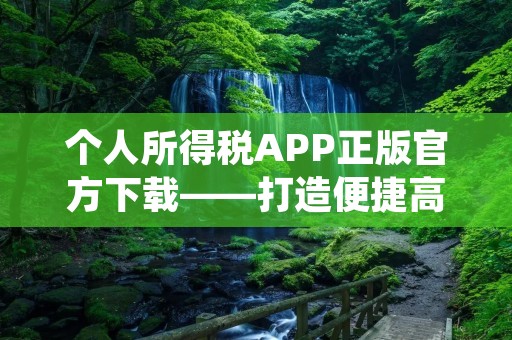 个人所得税APP正版官方下载——打造便捷高效的纳税新体验