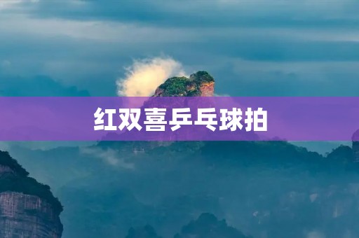红双喜乒乓球拍：打造顶级球手的必备武器