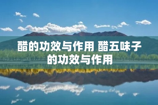 醋的功效与作用 醋五味子的功效与作用