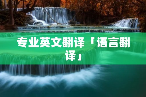 专业英文翻译「语言翻译」 专业英文翻译「语言翻译」