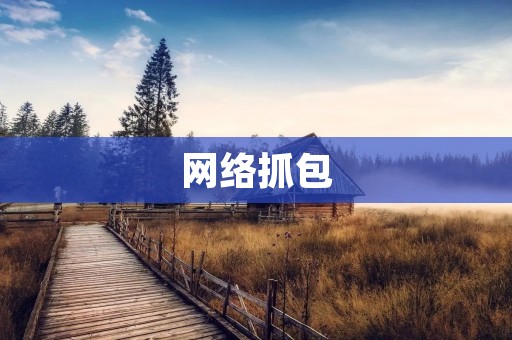 网络抓包：了解网络通信的必要工具