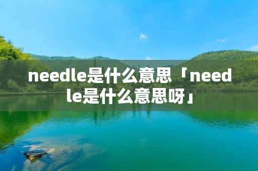 needle是什么意思「needle是什么意思呀」 needle是什么意思「needle是什么意思呀」