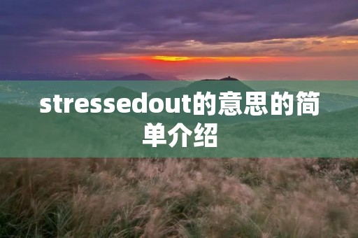 stressedout的意思的简单介绍