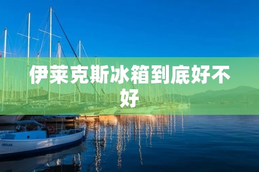 伊莱克斯冰箱到底好不好：品质与创新的完美结合