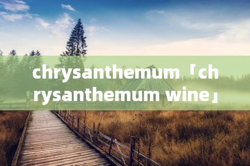 chrysanthemum「chrysanthemum wine」
