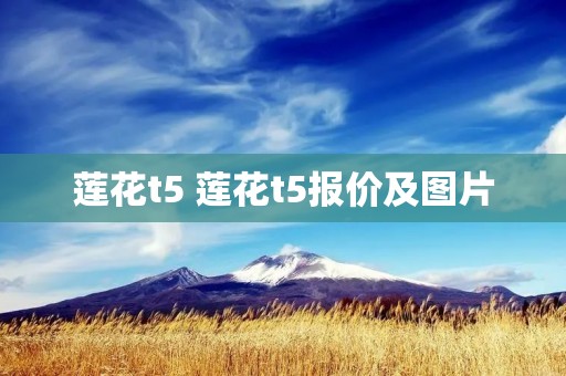 莲花t5 莲花t5报价及图片