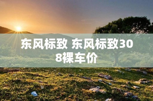 东风标致 东风标致308裸车价
