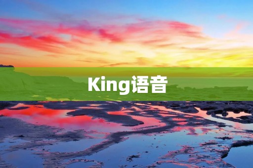King语音：打破时空限制的沟通利器