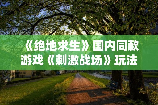 《绝地求生》国内同款游戏《刺激战场》玩法介绍