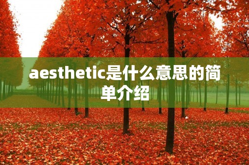 aesthetic是什么意思的简单介绍
