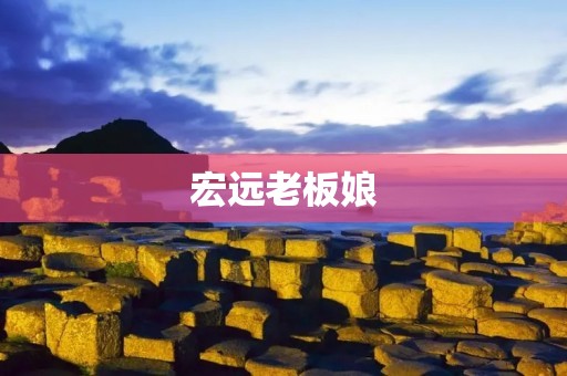 宏远老板娘：坚韧与智慧的商业女强人
