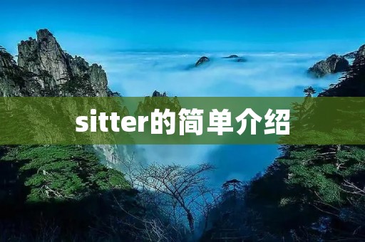 sitter的简单介绍