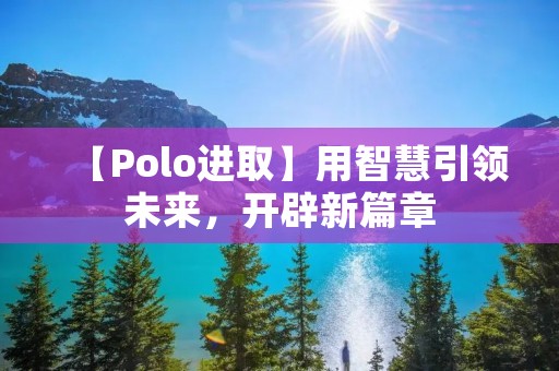【Polo进取】用智慧引领未来，开辟新篇章