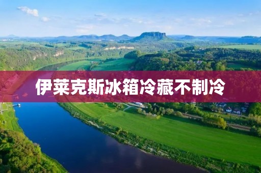 伊莱克斯冰箱冷藏不制冷：原因分析与解决方法