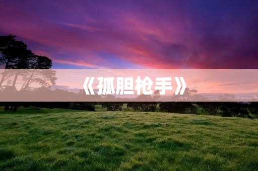 《孤胆枪手》:一款经典的单机射击游戏