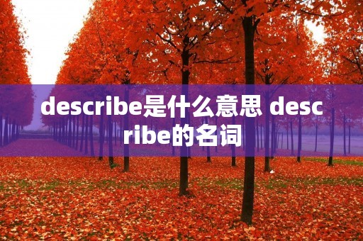 describe是什么意思 describe的名词