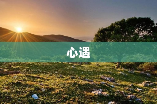 心遇:邂逅爱与成长 心遇:邂逅爱与成长