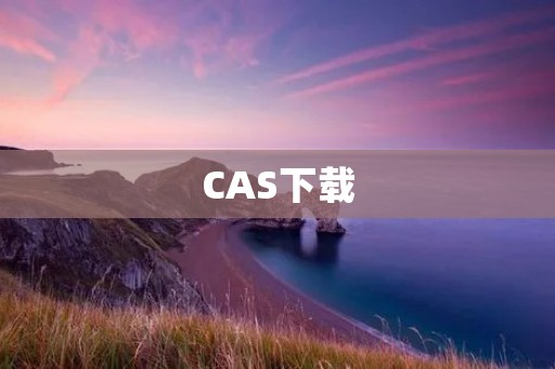 CAS下载：方便快捷获取科学文献的利器