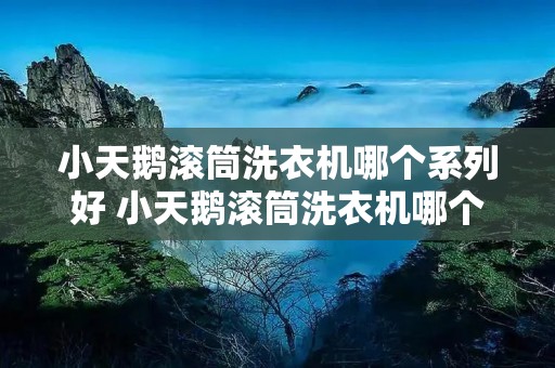 小天鹅滚筒洗衣机哪个系列好 小天鹅滚筒洗衣机哪个系列好?