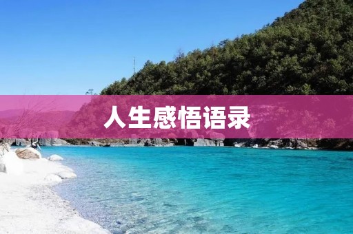 人生感悟语录：探索人生的意义与价值