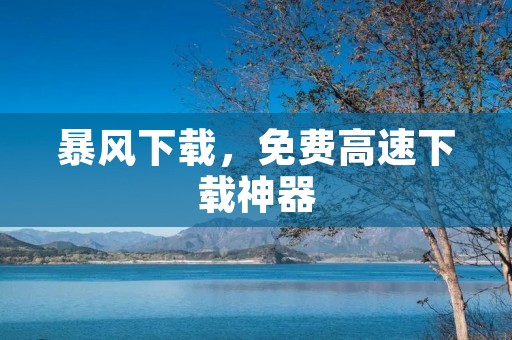 暴风下载,免费高速下载神器 暴风下载,免费高速下载神器