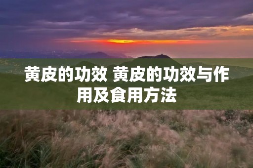 黄皮的功效 黄皮的功效与作用及食用方法