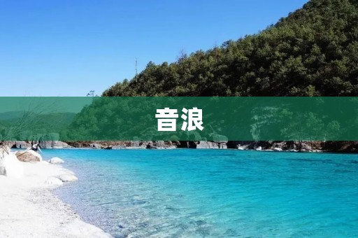 音浪：激荡心灵的音乐之旅