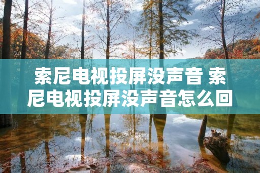 索尼电视投屏没声音 索尼电视投屏没声音怎么回事