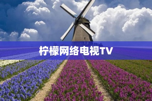 柠檬网络电视TV：让你畅享视觉盛宴