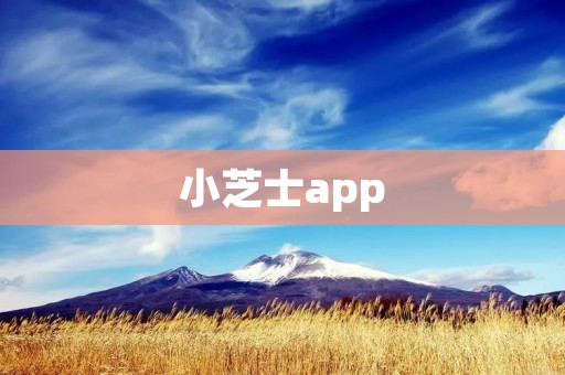 小芝士app：让你的生活更加便捷有趣