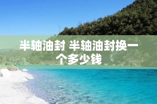 半轴油封 半轴油封换一个多少钱