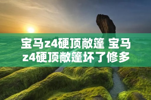 宝马z4硬顶敞篷 宝马z4硬顶敞篷坏了修多少钱
